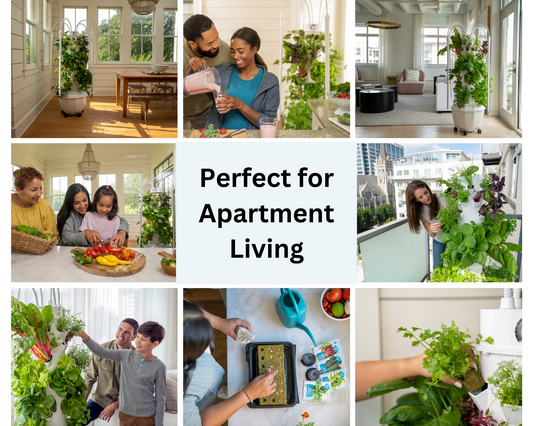 Why Indoor Gardens Are Perfect for Apartment Living