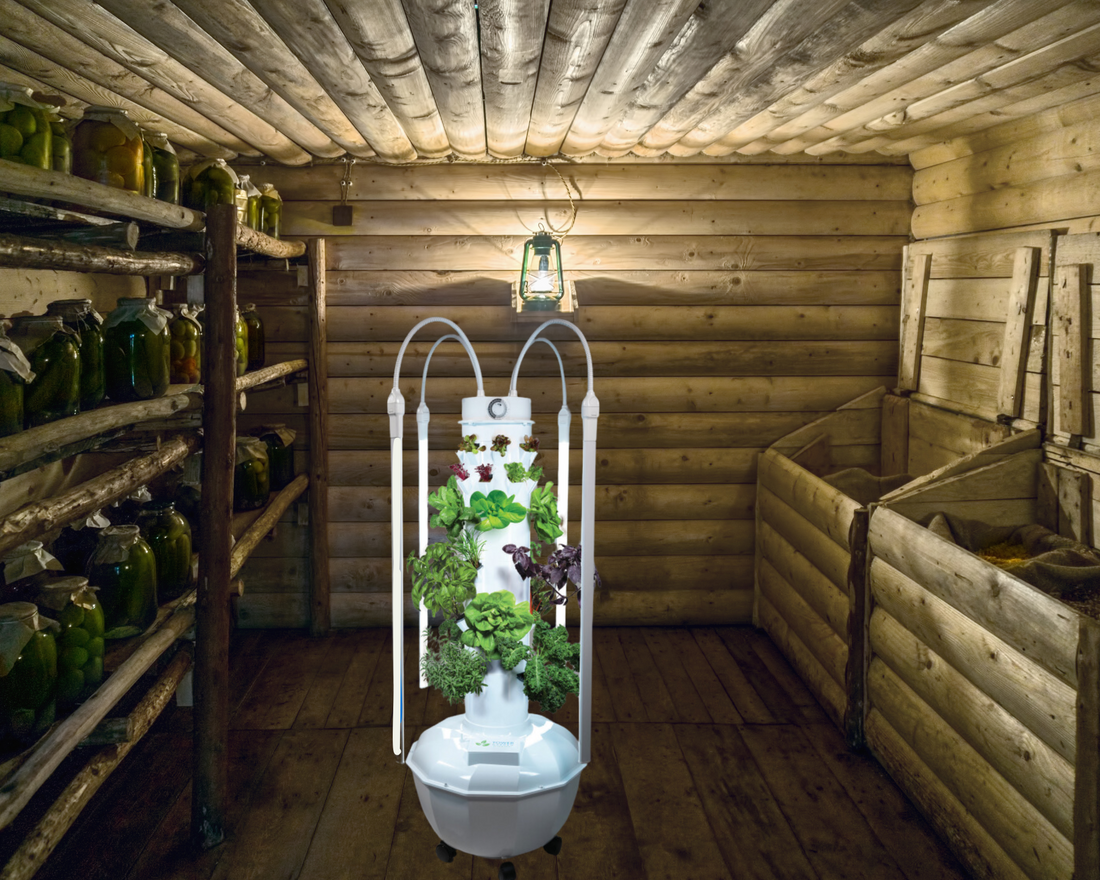 Let's Be Real: The Importance of Indoor Gardens for Preppers