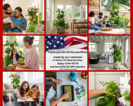 Honoring Veterans: The Benefits of Indoor Gardening for Health and Wellbeing