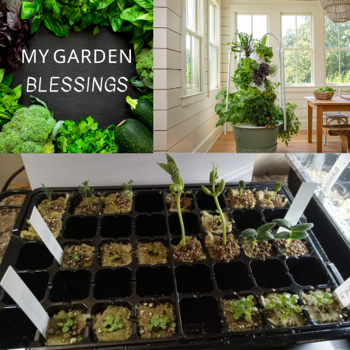 Fresh Fruits & Veggies Year-Round for Our Kids—Made Possible Indoors!