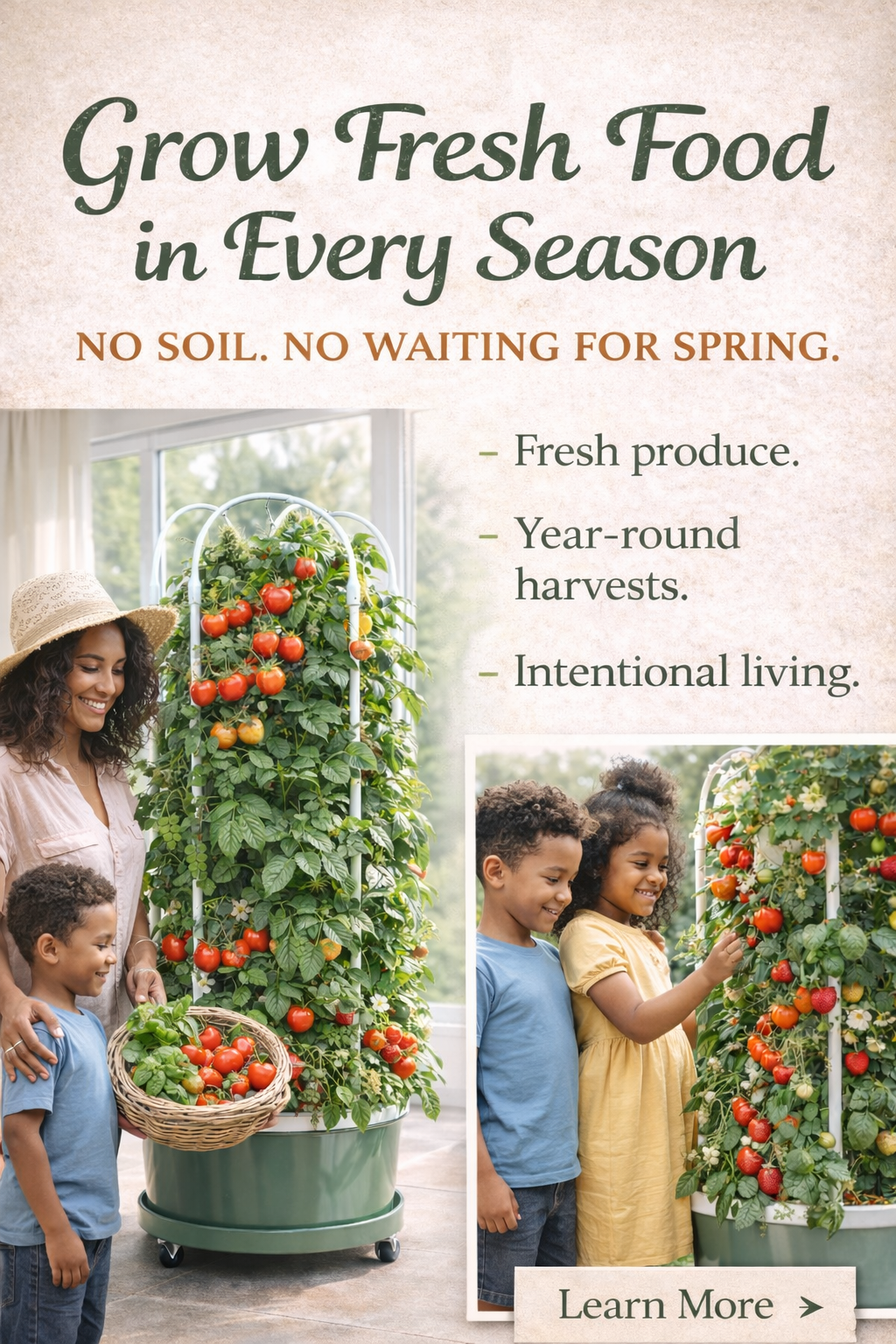 Why Soil-Free Growing Is Changing Everything